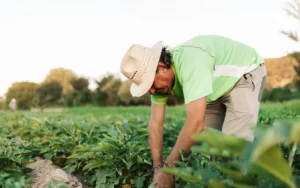 Recomendado só para você
